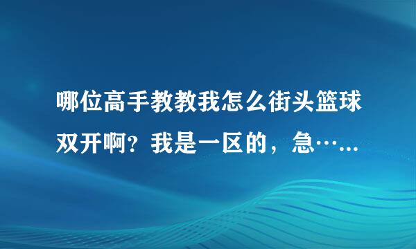 哪位高手教教我怎么街头篮球双开啊？我是一区的，急……希望高手帮小弟下。