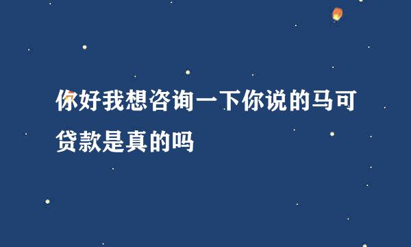 你好我想咨询一下你说的马可贷款是真的吗