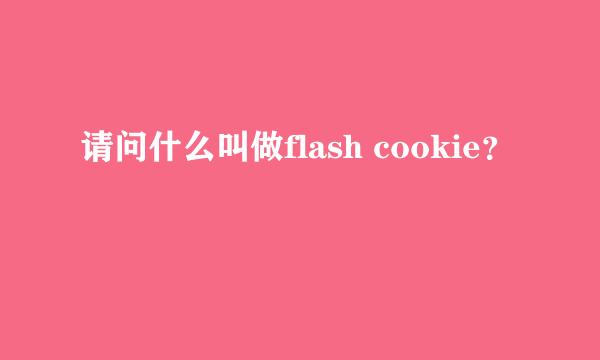 请问什么叫做flash cookie？