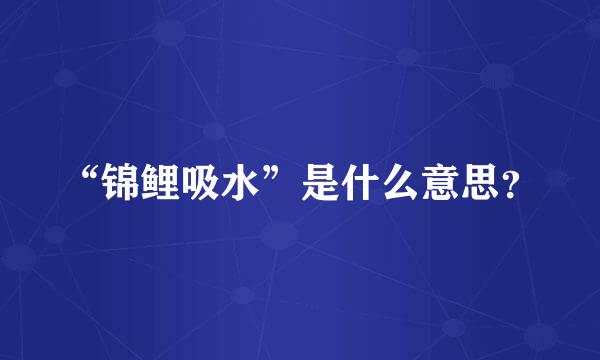 “锦鲤吸水”是什么意思？