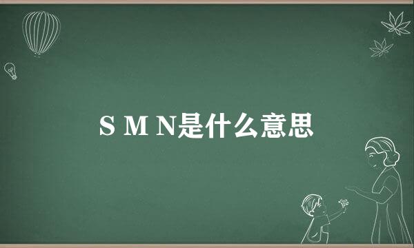 S M N是什么意思