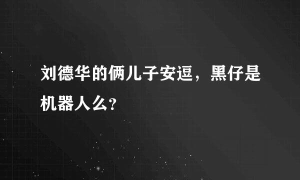 刘德华的俩儿子安逗，黑仔是机器人么？