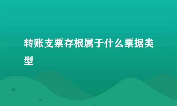 转账支票存根属于什么票据类型