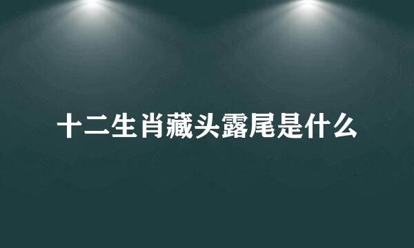 十二生肖藏头露尾是什么