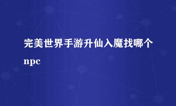 完美世界手游升仙入魔找哪个npc