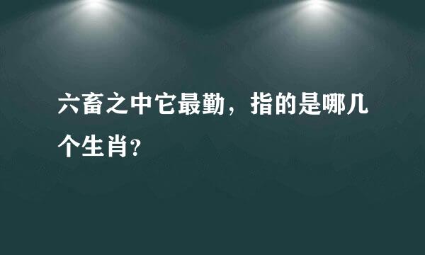 六畜之中它最勤，指的是哪几个生肖？