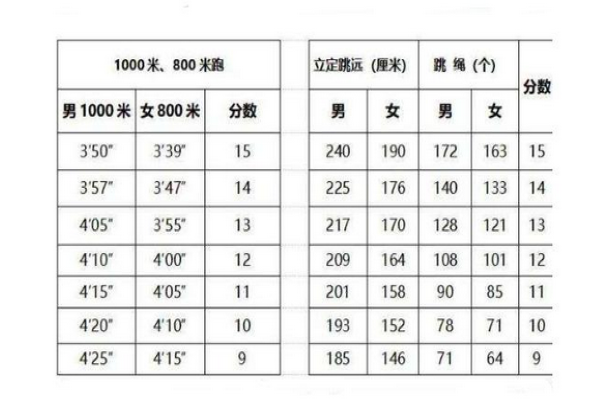 中考体育考试评分标准？