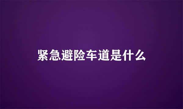 紧急避险车道是什么