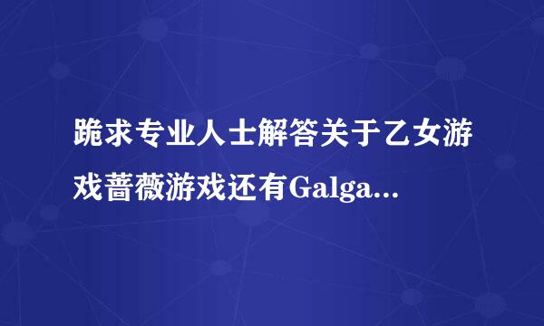 跪求专业人士解答关于乙女游戏蔷薇游戏还有Galgame【名称】的纠结问题。