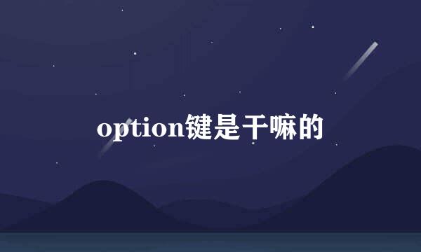 option键是干嘛的