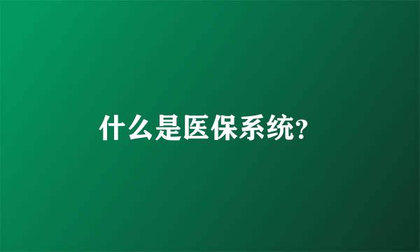 什么是医保系统？