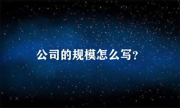 公司的规模怎么写？