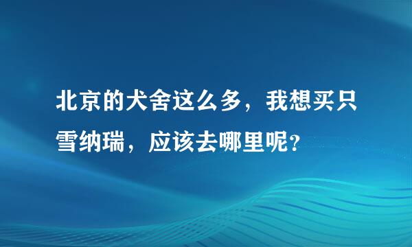 北京的犬舍这么多，我想买只雪纳瑞，应该去哪里呢？