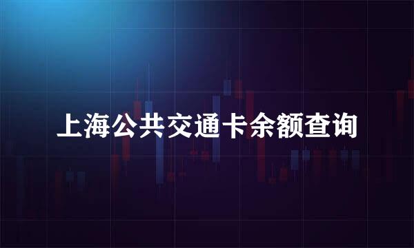 上海公共交通卡余额查询