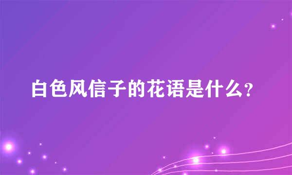 白色风信子的花语是什么？