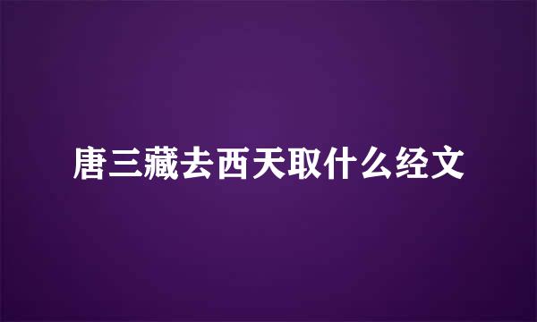 唐三藏去西天取什么经文