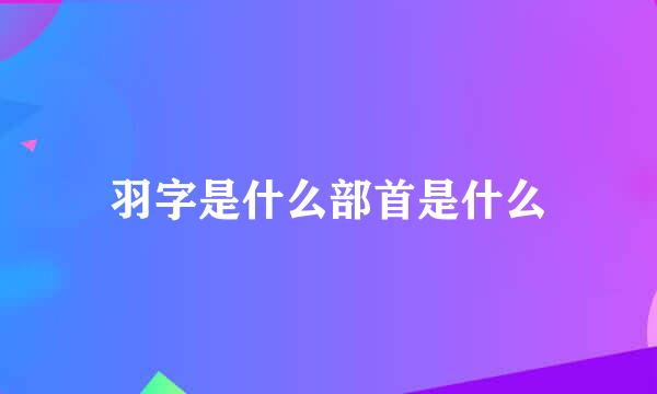 羽字是什么部首是什么