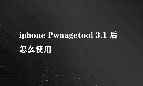 iphone Pwnagetool 3.1 后怎么使用