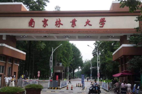 南京二本大学有哪些学校