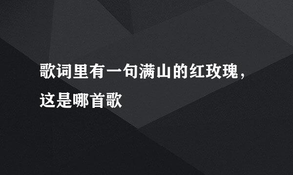 歌词里有一句满山的红玫瑰，这是哪首歌