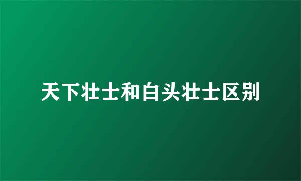 天下壮士和白头壮士区别