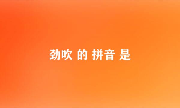 劲吹 的 拼音 是