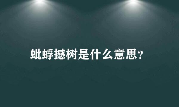 蚍蜉撼树是什么意思？