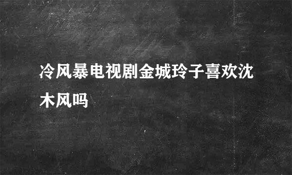 冷风暴电视剧金城玲子喜欢沈木风吗