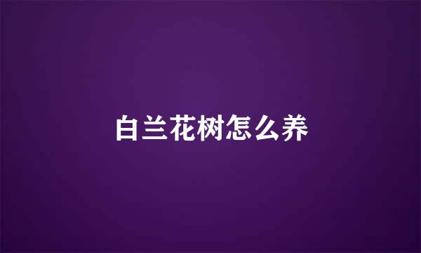 白兰花树怎么养