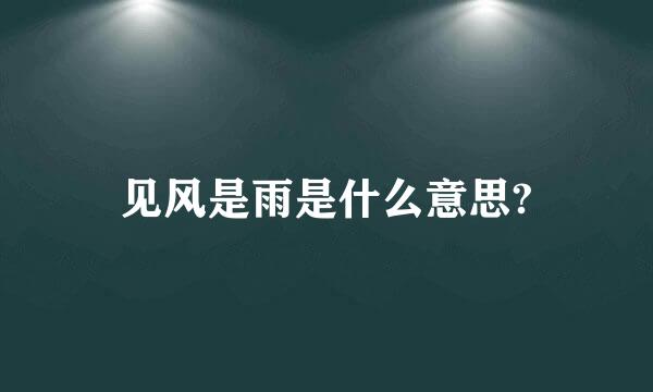 见风是雨是什么意思?