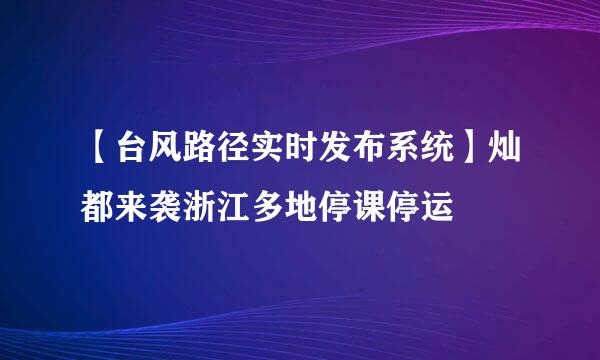 【台风路径实时发布系统】灿都来袭浙江多地停课停运