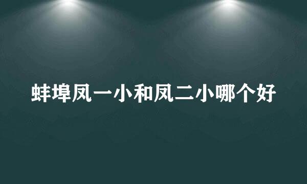 蚌埠凤一小和凤二小哪个好