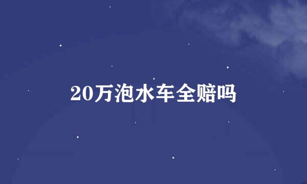 20万泡水车全赔吗