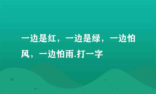 一边是红，一边是绿，一边怕风，一边怕雨.打一字