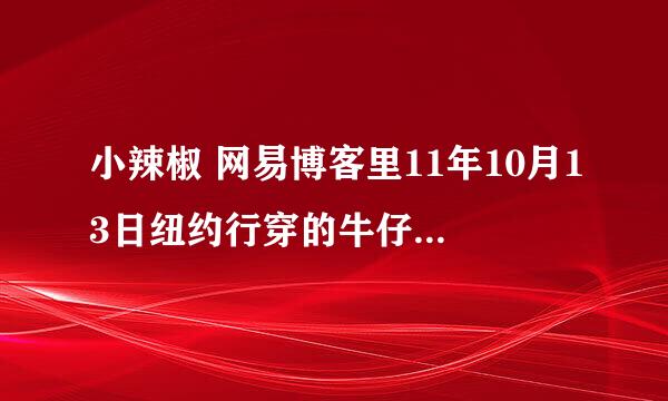 小辣椒 网易博客里11年10月13日纽约行穿的牛仔衬衫配的裙子是什么牌子的