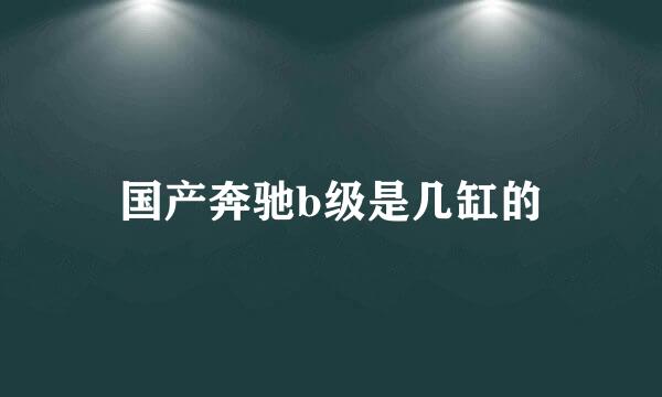 国产奔驰b级是几缸的