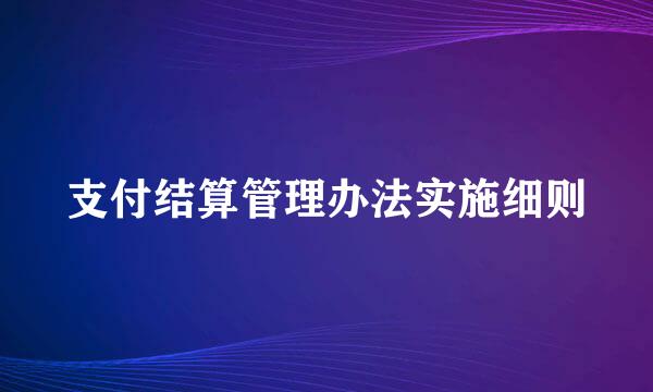 支付结算管理办法实施细则