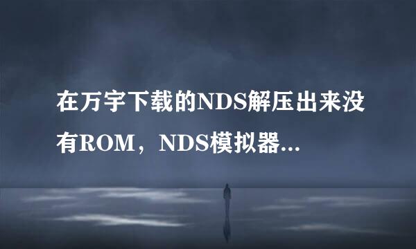 在万宇下载的NDS解压出来没有ROM，NDS模拟器找不到游戏啊~！