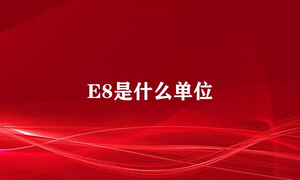 E8是什么单位