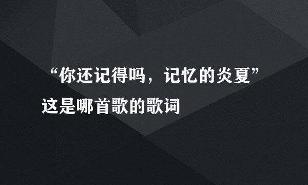 “你还记得吗，记忆的炎夏”这是哪首歌的歌词