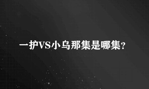 一护VS小乌那集是哪集？