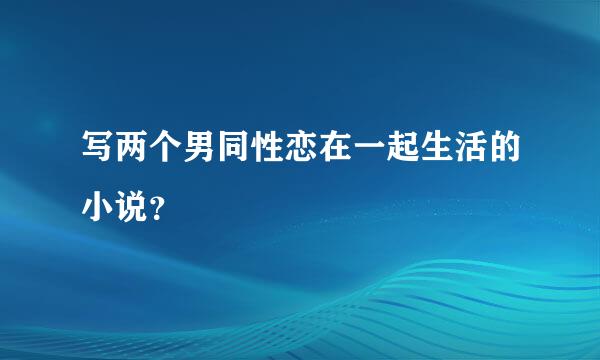 写两个男同性恋在一起生活的小说？