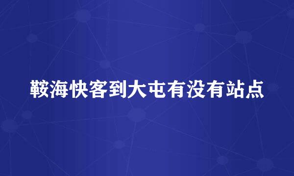 鞍海快客到大屯有没有站点