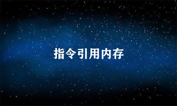 指令引用内存