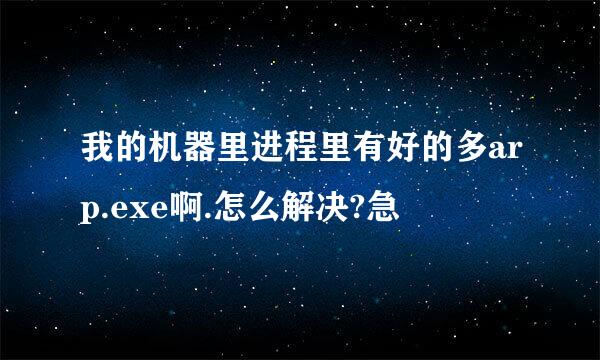 我的机器里进程里有好的多arp.exe啊.怎么解决?急