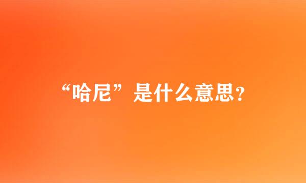 “哈尼”是什么意思？