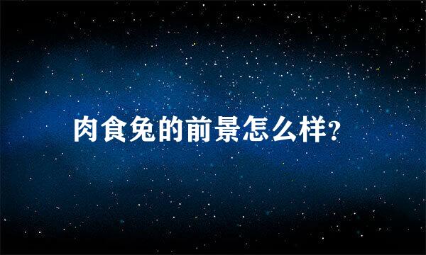 肉食兔的前景怎么样？