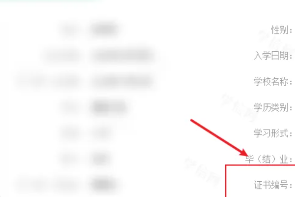 如何查学历证书编号