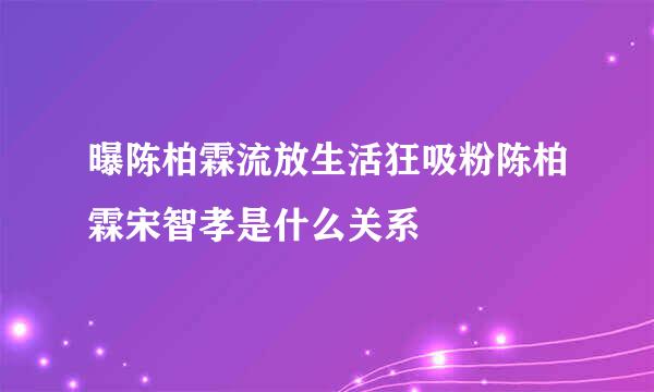 曝陈柏霖流放生活狂吸粉陈柏霖宋智孝是什么关系