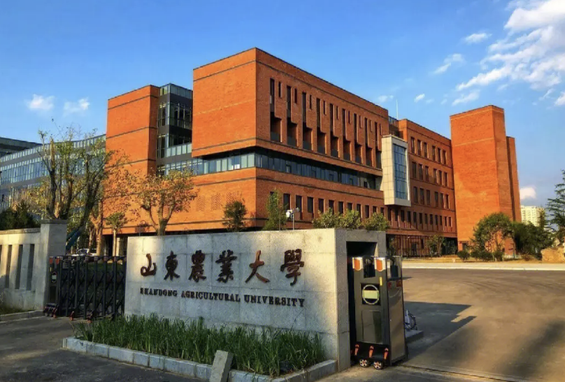 山东农业大学是一本还是二本